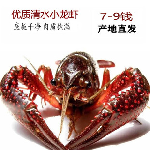 �����r��С���r7-10�X�����ؼt ��ˮС���r���l����ȫ�������l؛