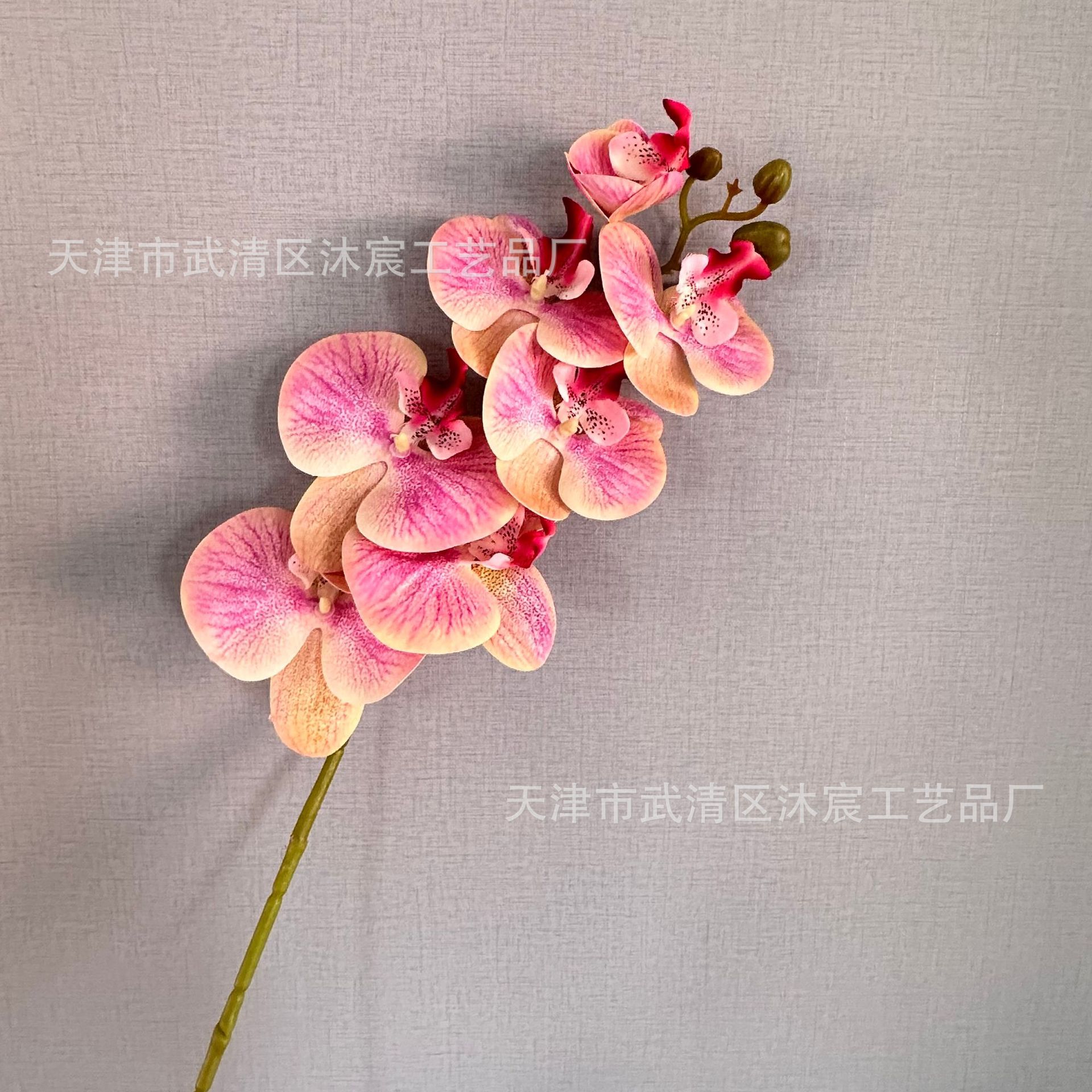 3D 7-cabeza Phalaenopsis mano-sensación de película Phalaenopsis venta al por mayor boda hogar decoración floral tiro flor material
