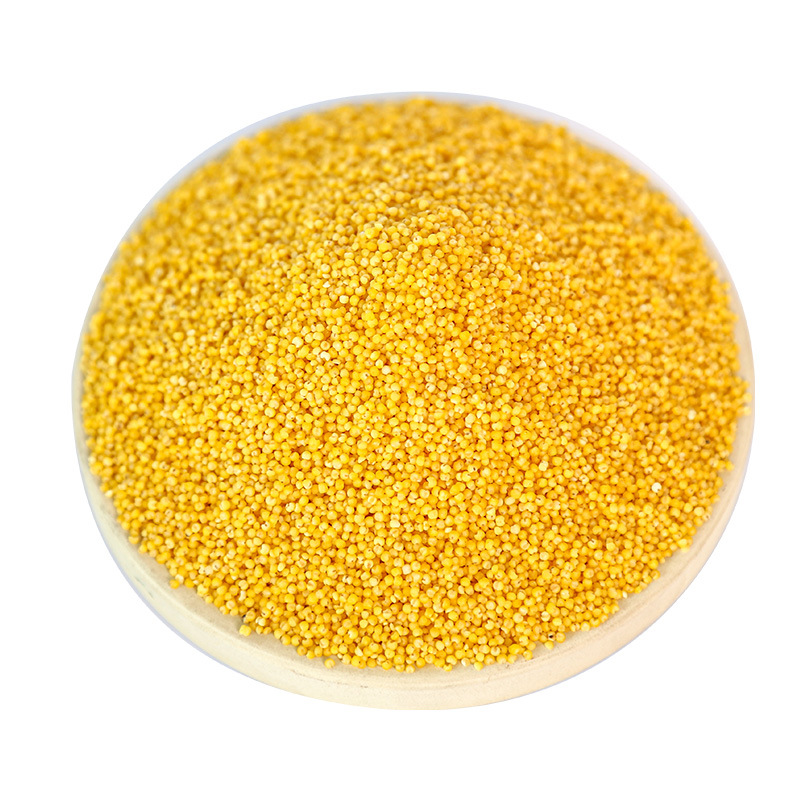 С�׻�С��5����շ�ש����������ͨ��ɽ�����������ʳһ��С��