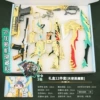 Line Angel Demon 12 -piece set (with hidden models)