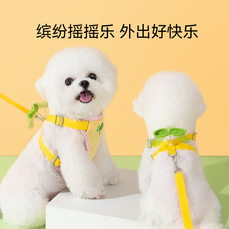 Nuevos perros salen, flores coloridas, mecedoras, correas para el pecho tipo chaleco, correa para gatos, cuerda para pasear a los perros