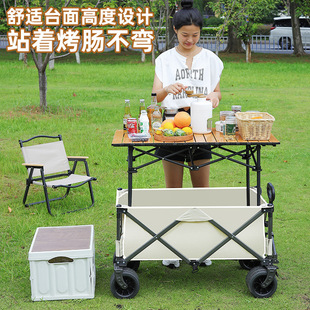 Folding Camper Cart for Street Vending, Portable Outdoor Picnic Cart Wholesale