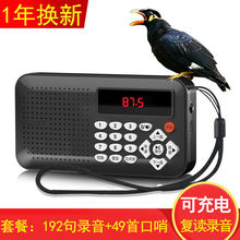 ���B�W�fԒ�����������Ӗ���B�ÌW���C���P�W�^�WԒ�C�˸���x�C