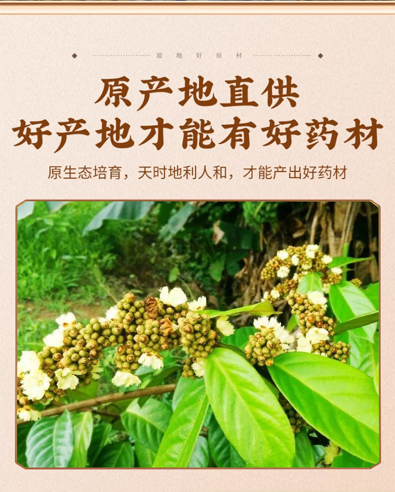 Ding Gong Teng Dried Herb 50g Pack Traditional Chinese Botanical Erycibe Stem for Decoction Use key features