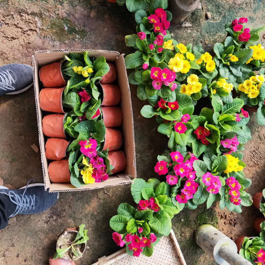 12860095849_1141501121