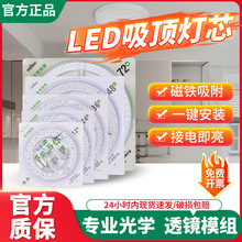 ģ�M����LED��픟�о��Q���ÿ͏d�����l���g�A�γ����������Ƭ