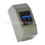 畅销菲律宾小型断路器 BH带保护罩 10A-100A微型mcb 家用过载短路