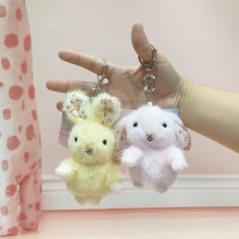 �ɐۚWʽ��@С��ë�q���������[���ɐ�耳׿۶Y�ͯ���