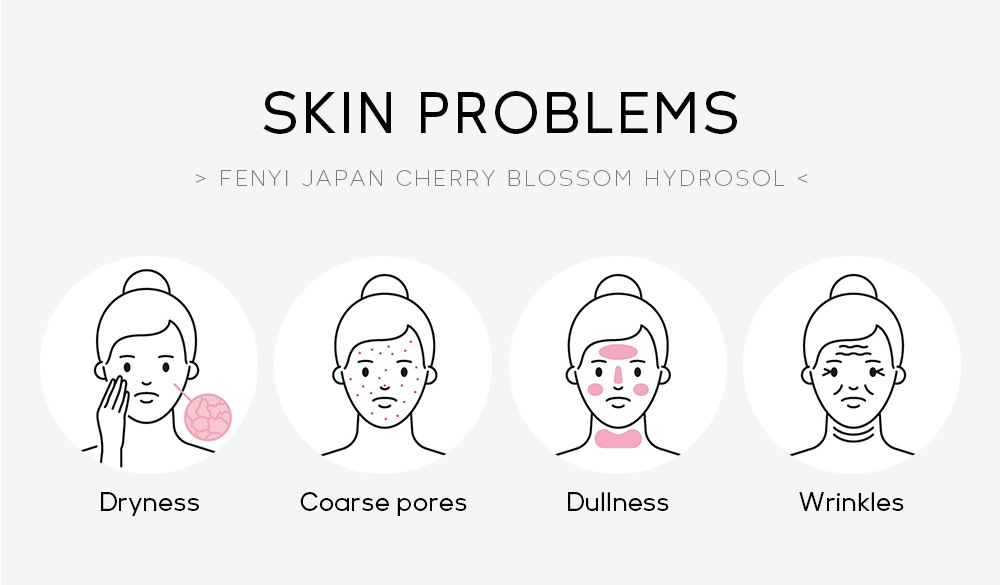 Fenyi Japanese Cherry Blossom Hydrosol 100ml Hydrating, Moisturizing and toning Skin Care Product from cross-border manufacturer undefined