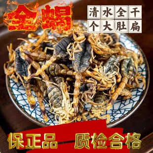 ϐ�Ӹ�ȫϐȫ�x����ȫϐ��ʳ����ˮȫϐ���ݾ�ϐ��ș����؛��