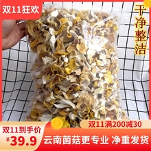 鸡油菌干货一斤装500克 榆黄菌干品云南特产野生菌保障新货好