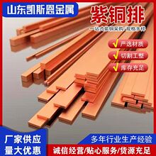 现货供应T2/T3紫铜排扁条C1100导电镀锡铜排异形铜排加工批发零切