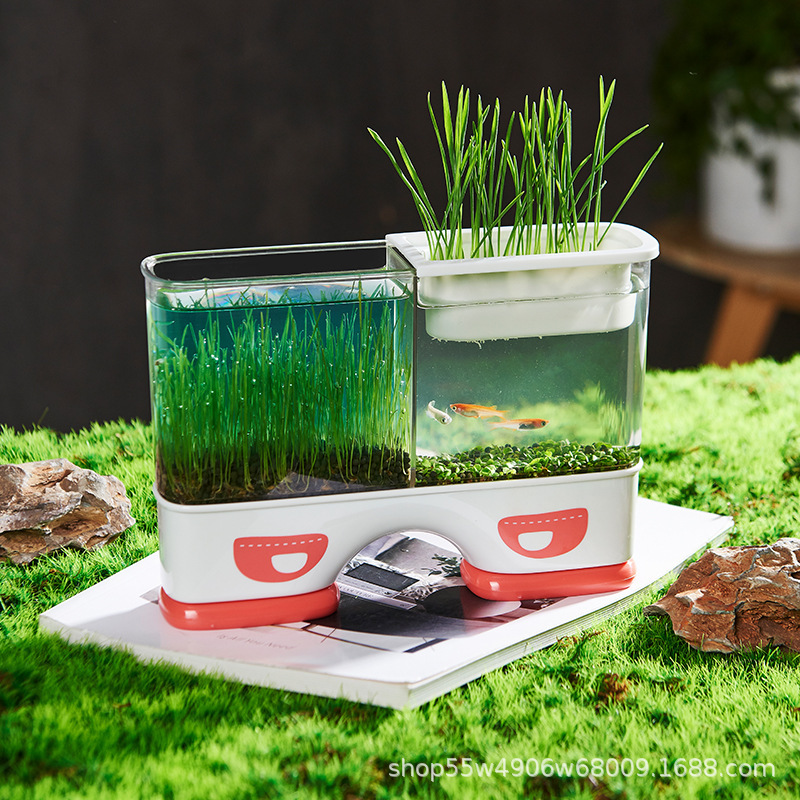 Children's Planting Box Transparent Potted Mini Farm Germination Plant Observation Window Peasant Root Growth Vegetable Box