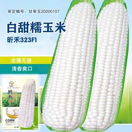 蔬菜种子;其他农业