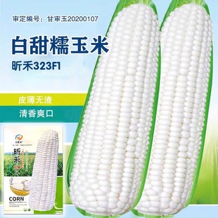 ����Ŵ���׷N�Ӹ߮a�ļ�����Ŵ���ׇ��������r�ҳ����Ŵ���׷N��