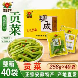 清水贡菜258g*40袋新鲜贡菜火锅食材批发商用非干货苔干贡菜