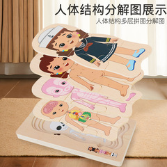 Body Structure Puzzle Board, Human Body Learning Multi-Layer Puzzle, Career-Themed Children's Educational Wooden Brain Teaser Toy Wholesale