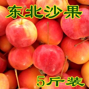 �|��ɳ��ɳ���ڸ��������rˮ��ˮ�ֳ���Fժ�F�l�ЋDˮ��