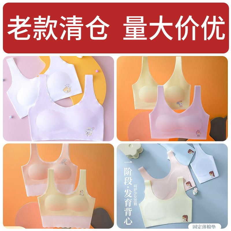 Special Price Wholesale Clearance Girls' Underwear for Middle School Students, Puberty Bra for Young Girls, Teenage Bras Special Price Wholesale Clearance Girls' Underwear for Middle School Students, Puberty Bra for Young Girls, Teenage Bras