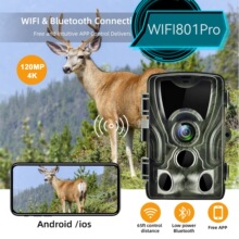 ����t��O�����C�{��4K  36P WIFI801PRO ���ڹ��S �S��ֱ�N