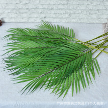 跨境仿真葵叶散尾葵婚庆开业庆典插花装饰摆件单片铁树叶现货批发