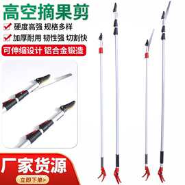 厂家货源好园丁果树高空修枝锯 采果剪园林工具 铝合金伸缩摘果剪