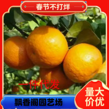 �ڰ��������۴�Ƥ��۸̘��玧���̨������ļ�С��̽����ӹ���