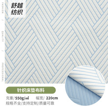 厂家供应冰丝针织布中分子凉感冰豆豆凉席床垫布可水洗透气面料