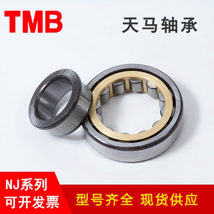 国产TMB天马减速机轴承 RJ205 RN206 RN207M RN208 RN209M RN210M