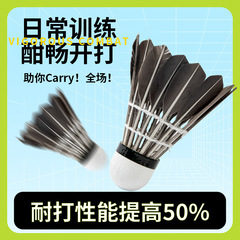 バドミントン ブラック 12 パック、耐久性、耐久性、アマチュア トレーニング ボール、アリーナ ゲーム、AliExpress メーカー