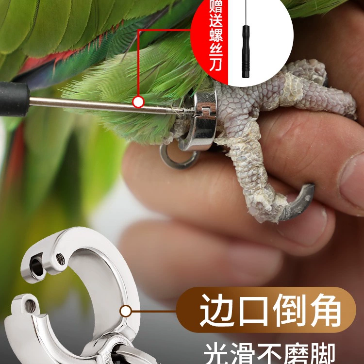 Ан ankle bracelet stainless steel, цепь на солнечной батарее