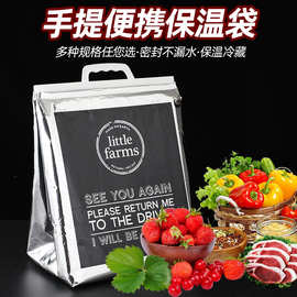 PET铝箔冰袋LDPE侧边保温袋美国便利店专用外卖啤酒保温袋4小时袋