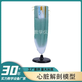 教学演示用品;教学仪器;生物教学器材