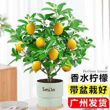 ˮʘ̨ͥԺļ_ֲYʳ҃ȺBl