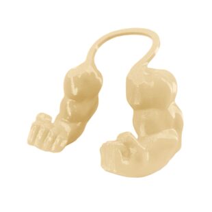 Muscle Cat Hulks Arms  ����؈�G�����ֱ�