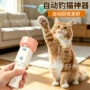 电动自动发射器宠物器