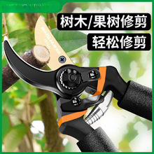 �@ˇ��֦��֦����֦��@�ֻ��������޼���֦ʡ�����й�������