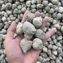 花球参珍珠球参乌圆球纯淡干海参干货水发专用滋补野生滋补批发