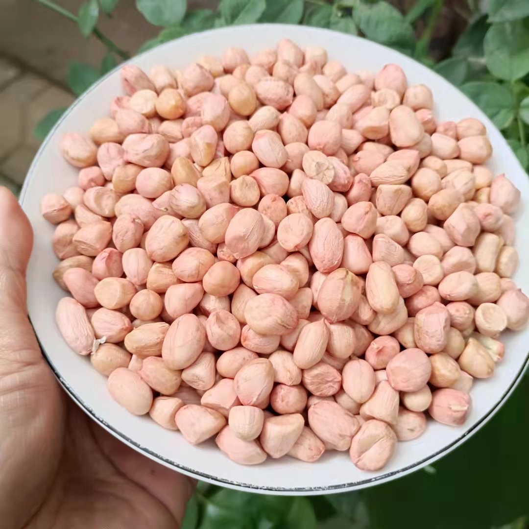 沂蒙山农家新花生米新货 粉皮带壳生花生米5斤新鲜水果蔬菜代发