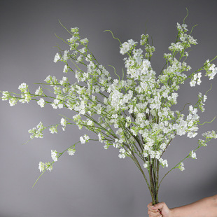 ���滨ѩ���hѩӭ�����һ���@�Ҿӻ�ˇ�@�ָɻ��ٻ������[����c