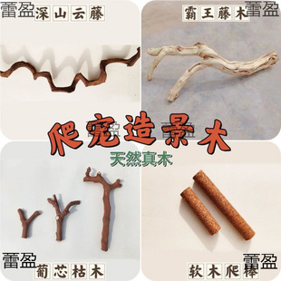 �����쾰ľ���ָ��߽޽��،m�ת{����������̨���y��ľ��֦��