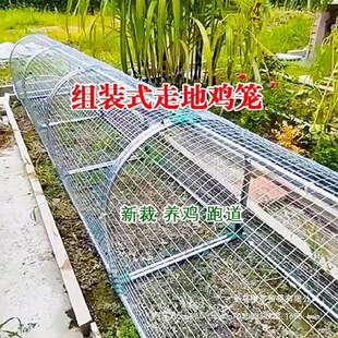 ����ɢ�B�r��ͥԺ�ߑ���\�ӾW���F�u�\���r���u�\�ܵ����_�B�u��