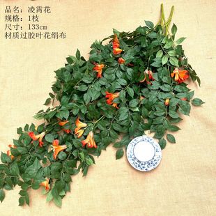 ���������滨�ٗl�ٻ���c�[���b�õ�廨�پGֲ����ֲ���b[��