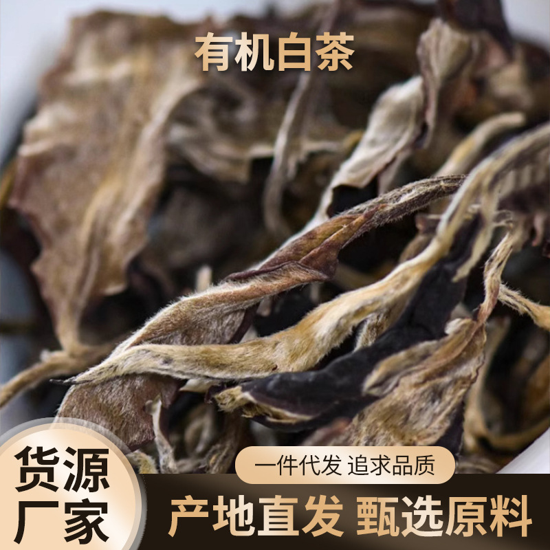云南有机白茶 云南秧塔贡茶园2024年白茶月美人白茶蜜香1件包邮