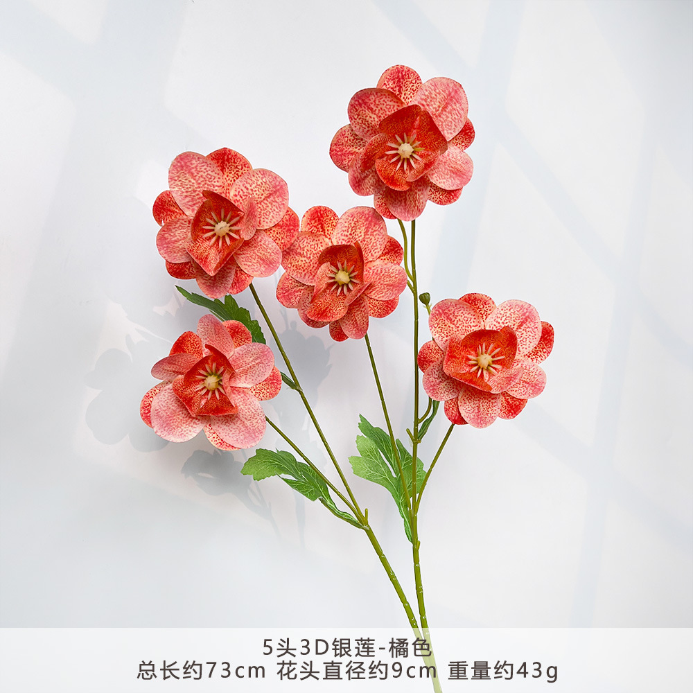 MJ-5 Đầu 3D Anemone - Cam