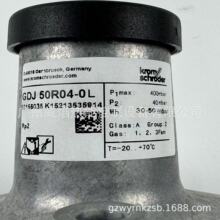 �����GDJ50R04-0Lȼ��p���y�����Ƶ�Kromschroeder
