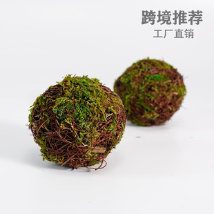 Cross-Border Rattan Moss Ball Forest Style Pendant Potted Plant Decoration Gardening Handmade Dried Flower Ball Kindergarten DIY Decoration