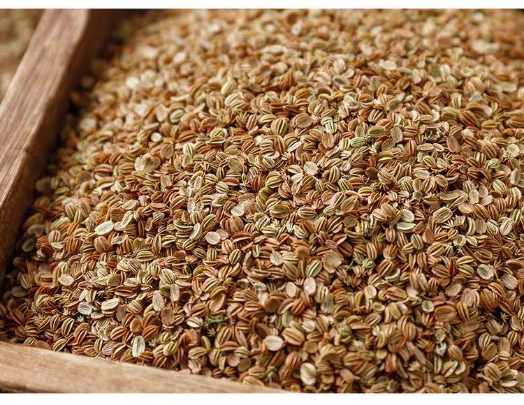 She Chuang Zi (Cnidium monnieri) — Dried Fruit for Foot Soak & Herbal Use, 500g preparation