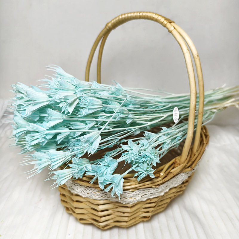 스카이블루 (50g/묶음)