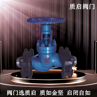 Quanzhou Zhiqi BJ66Y Balanced Throttle L8B6Y Clamp Throttle Globe valve J8B6Y High-temperature oil field
